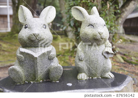 Izumo other companies and rabbits Inaba's white rabbit 87656142