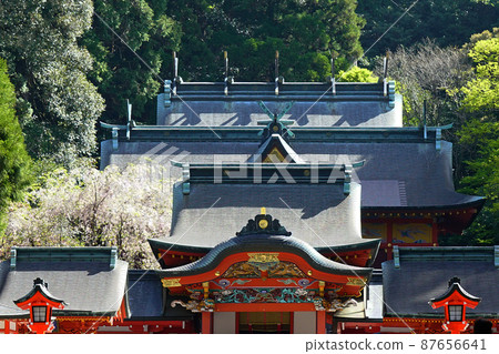 Kirishima Jingu Shrine Kagoshima Prefecture Kirishima Jingu Shrine Kagoshima Prefecture 87656641