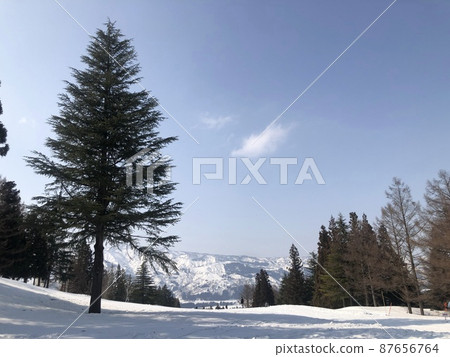 Slope scenery Maiko Snow Resort 87656764