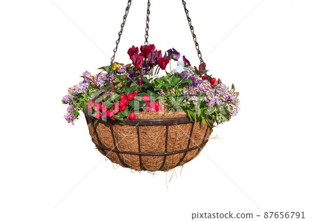 Flower pot hanging basket photo cutout collage material 87656791