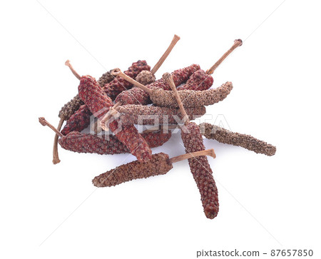 Piper longum isolated on white background Piper longum isolated on white background 87657850
