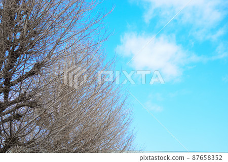 Blue sky and white clouds and trees Blue sky and white clouds and trees 87658352