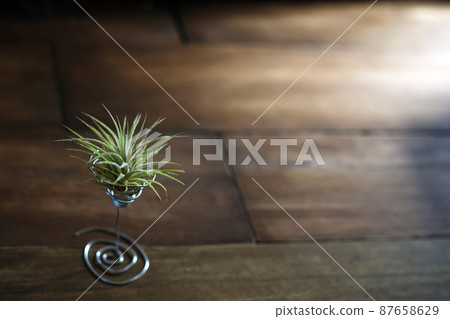 Handmade aluminum wire holder and airplants (Ionanta) placed on a wooden table 87658629
