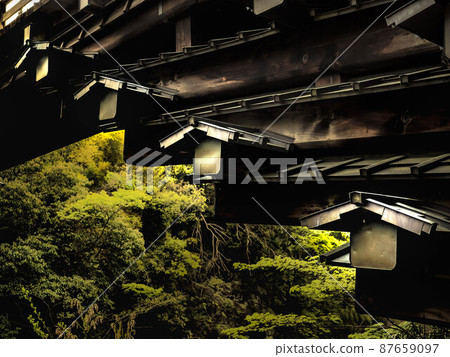 猿橋樹附近的狀態 猿橋樹附近的狀態 87659097