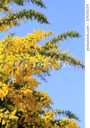 Clock near the service center of Higashi-Ayase Park 87659374