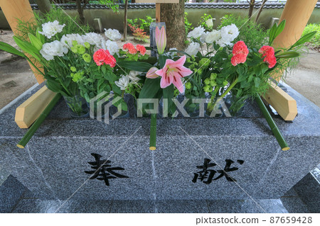 荒人神社的花手水 荒人神社的花手水 87659428