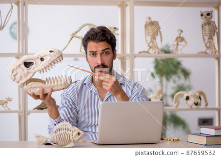Young male paleontologist examining ancient animals at lab 87659532