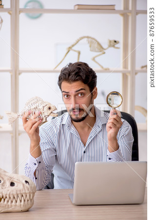 Young male paleontologist examining ancient animals at lab 87659533