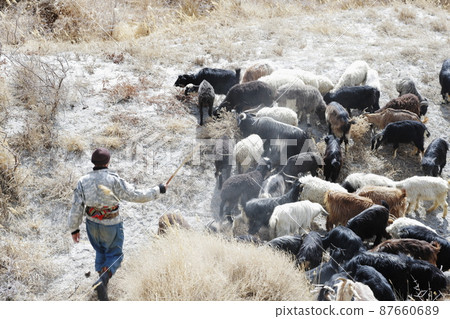 瓦罕走廊放牧 87660689