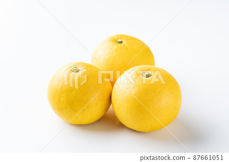 Fumi Tosa Fumi Tosa 87661051
