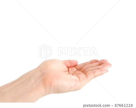 Hand pose of a woman holding out her left hand Hand pose of a woman holding out her left hand 87661228