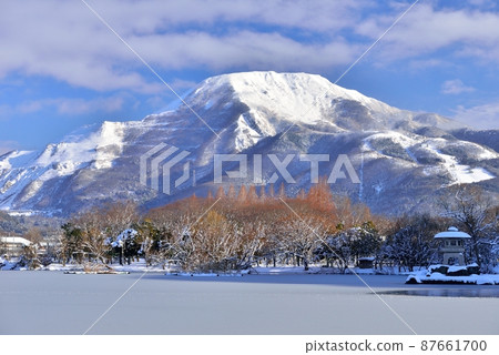 Snow Ibukiyama 87661700