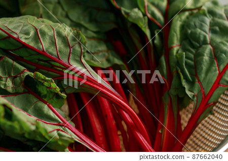 Bunch of beet top leaves close up Bunch of beet top leaves close up 87662040