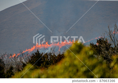 露天焚燒 87663166