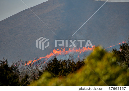 露天焚燒 87663167