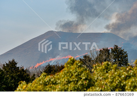 露天焚燒 87663169