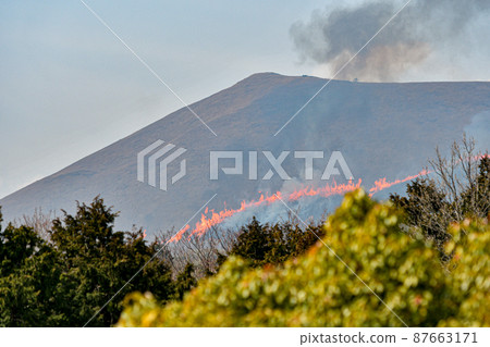 露天焚燒 87663171