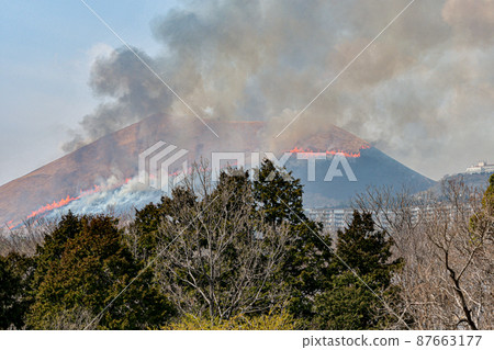 露天焚燒 87663177