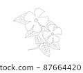 長春花著色書 87664420