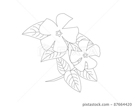 Coloring book of periwinkle 87664420
