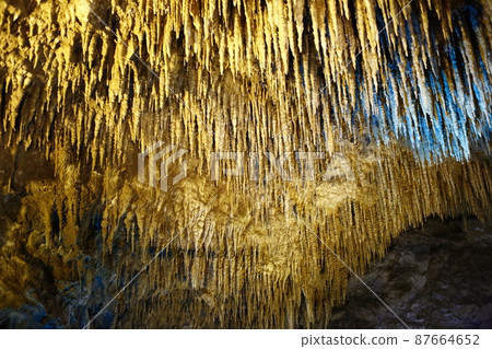 Tamadon-dong 87664652