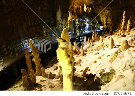 Tamadon-dong 87664671