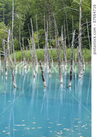 Beautiful nature you want to see when you go to Hokkaido Beautiful nature you want to see when you go to Hokkaido 87664716