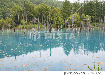 Beautiful nature you want to see when you go to Hokkaido Beautiful nature you want to see when you go to Hokkaido 87664728