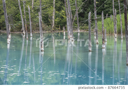 去北海道想看看的美麗大自然 去北海道想看看的美麗大自然 87664735