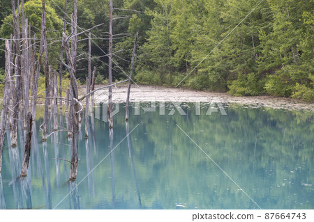 Beautiful nature you want to see when you go to Hokkaido Beautiful nature you want to see when you go to Hokkaido 87664743