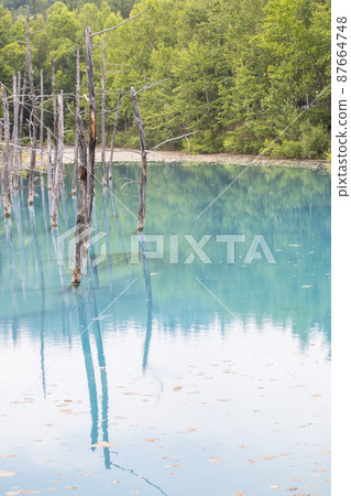 Beautiful nature you want to see when you go to Hokkaido Beautiful nature you want to see when you go to Hokkaido 87664748