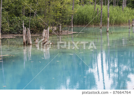 Beautiful nature you want to see when you go to Hokkaido 87664764