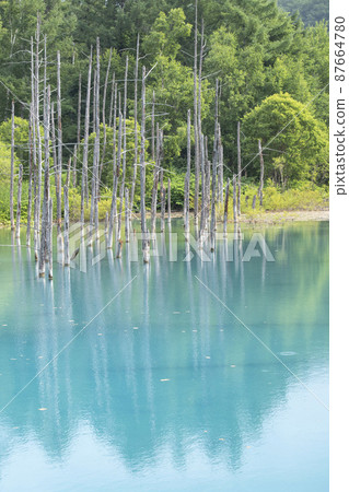 Beautiful nature you want to see when you go to Hokkaido Beautiful nature you want to see when you go to Hokkaido 87664780