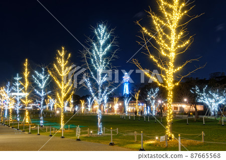 天王寺公園的冬日燈飾與通天閣的夜景 天王寺公園的冬日燈飾與通天閣的夜景 87665568