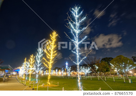 天王寺公園的冬日燈飾與通天閣的夜景 天王寺公園的冬日燈飾與通天閣的夜景 87665570