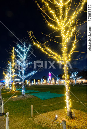 天王寺公園的冬日燈飾與通天閣的夜景 天王寺公園的冬日燈飾與通天閣的夜景 87665572