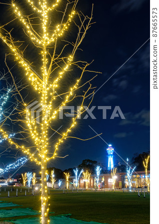 天王寺公園的冬日燈飾與通天閣的夜景 天王寺公園的冬日燈飾與通天閣的夜景 87665573