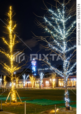 天王寺公園的冬日燈飾與通天閣的夜景 天王寺公園的冬日燈飾與通天閣的夜景 87665574