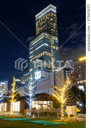 Illuminations in Tennoji Park, Osaka and Abeno Harukas 87665625