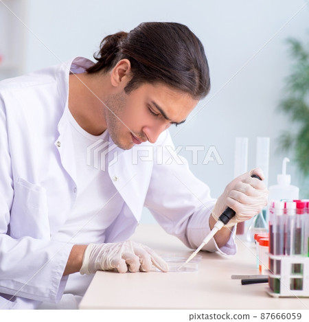 Young male chemist working in the lab 87666059