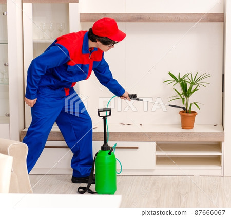 Young contractor doing pest control at home Young contractor doing pest control at home 87666067
