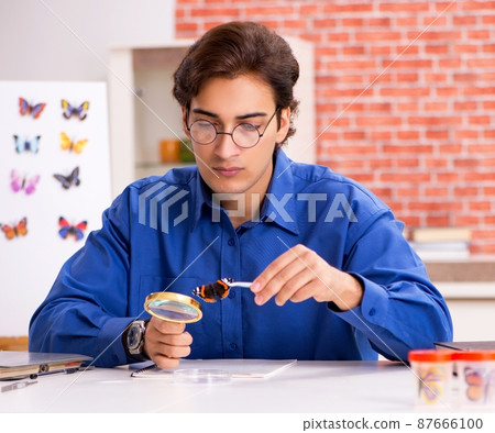 Student entomologist studying new species of butterflies 87666100