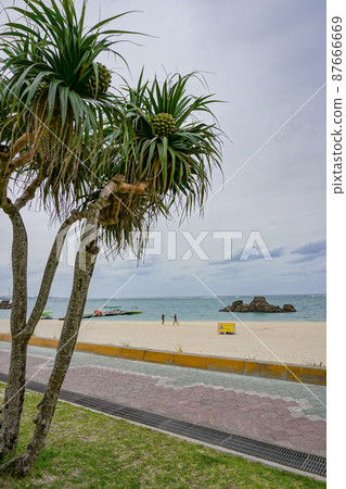 Clean sea and sandy beach with high transparency in Okinawa Prefecture Clean sea and sandy beach with high transparency in Okinawa Prefecture 87666669