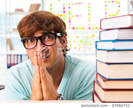 The student preparing for university exams 87666742