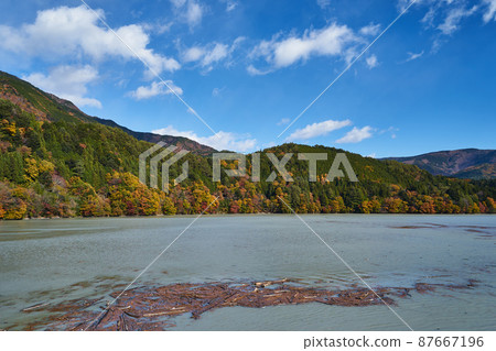 Autumn leaves of Lake Ikawa, Shizuoka Prefecture Autumn leaves of Lake Ikawa, Shizuoka Prefecture 87667196