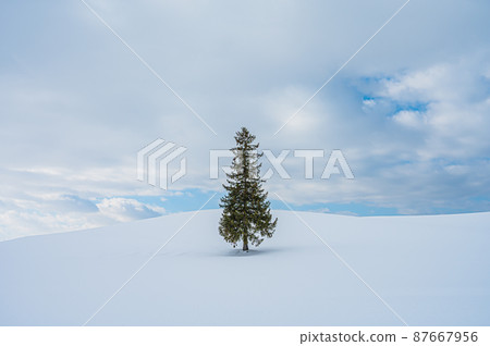 Biei in winter 87667956