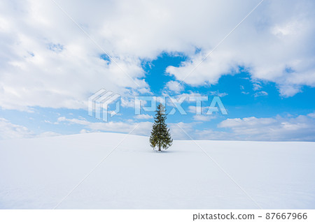 Biei in winter Biei in winter 87667966