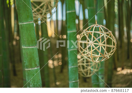  Bamboo grove 87668117