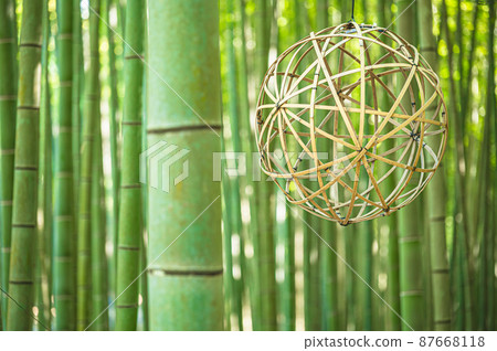 Bamboo grove 87668118