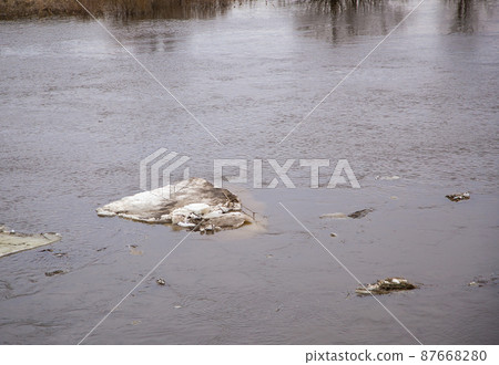 One dirty white ice floe is floating down the river. Spring, snow melts One dirty white ice floe is floating down the river. Spring, snow melts 87668280